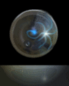 globe.gif