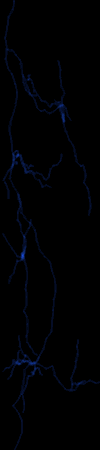 lightningvert.gif